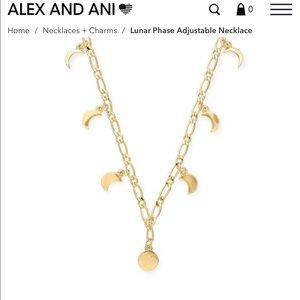 Alex and Ani lunar phase 14k gold plated